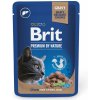 Kapsička pro kočky Brit Premium Cat Sterilised Liver 100 g