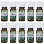 Saloos esenciální olej Eukalyptus 10 ml – Zboží Dáma