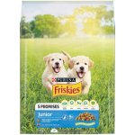 Purina Friskies Junior 3 kg – Hledejceny.cz