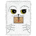 Harry Potter Blok Hedvika A5 plyšový – Hledejceny.cz