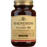 Solgar Magnesium with Vitamin B6 tablety pro podporu spánku a regenerace 100 tablet – Hledejceny.cz