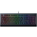 Razer Cynosa V2 RZ03-03400100-R3M1 – Hledejceny.cz