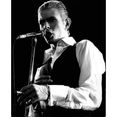 Umělecká fotografie David Bowie on stage at the Empire Pool, Wembley, 1976, (35 x 40 cm) – Hledejceny.cz