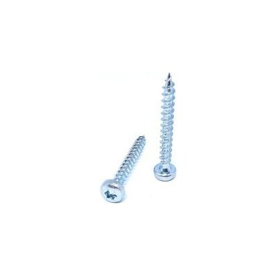 Vrut s půlkulatou hlavou, TORX drážka, zinek bílý 6 x 80, balení 200 ks – Hledejceny.cz