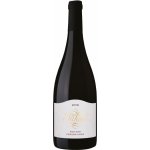 Sůkal Pinot Noir Terroir pozdní sběr 2022 14% 0,75 l (holá láhev) – Zboží Mobilmania