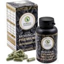 Moringa Caribbean PREMIUM 120 kapslí