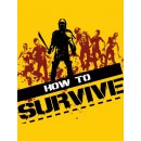 Hra na PC How to Survive