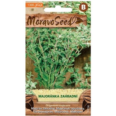 MORAVOSEED CZ Majoránka zahradní – Zbozi.Blesk.cz