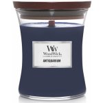 WoodWick Antiquarium 275 g – Zbozi.Blesk.cz