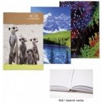 Concorde Záznamní kniha A5 čistá 100 listů – Sleviste.cz