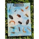 Chaloupky A4 podložka s klipem vodní bezobratlí – Hledejceny.cz