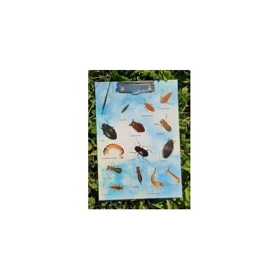 Chaloupky A4 podložka s klipem vodní bezobratlí – Hledejceny.cz