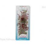 Tetra rostlina Red Ludwigia 23 cm – Zboží Mobilmania