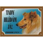 Dafiko Tabulka kolie – Hledejceny.cz