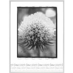 Tradag Rámeček bílý UH 70x100 – Zbozi.Blesk.cz