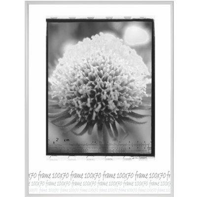 Tradag Rámeček bílý UH 70x100 – Zbozi.Blesk.cz