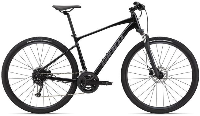 Giant Roam 2 Disc 2024