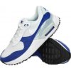 Skate boty Nike Air Max System bílo-modré