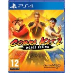 Cobra Kai 2: Dojos Rising – Zboží Dáma