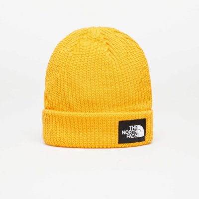 The North Face Salty Lined beanie čepice – Hledejceny.cz