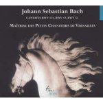 Johann Sebastian Bach: Cantatas Bwv 12 51 131 CD – Hledejceny.cz