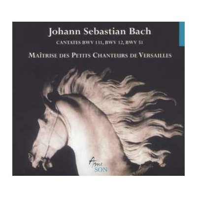 Johann Sebastian Bach: Cantatas Bwv 12 51 131 CD – Hledejceny.cz