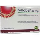 KALOBA 20 MG POTAHOVANÉ TABLETY POR TBL FLM 21