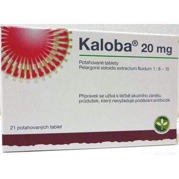 KALOBA 20 MG POTAHOVANÉ TABLETY POR TBL FLM 21