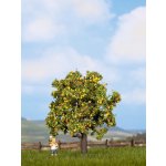 Noch Strom jabloň s plody výška 75 mm 21560 – Hledejceny.cz