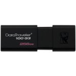 Kingston DataTraveler 100 G3 256GB DT100G3/256GB – Hledejceny.cz