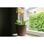 Ter Steege Váza široká Norell chestnut D29x15 H26 – Hledejceny.cz
