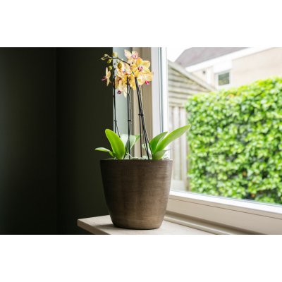 Ter Steege Váza široká Norell chestnut D29x15 H26 – Hledejceny.cz