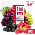 Adams Vape Salt Berry Grape 10 ml 20 mg – Sleviste.cz