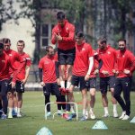 Yakimasport 100178 Samovstávající plot 30 cm – Zboží Dáma