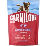 Carnilove Active Puppies Salmon & Turkey 1,5 kg – Hledejceny.cz