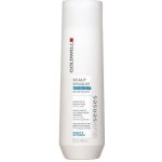 Goldwell Dualsenses Scalp Specialist Anti Dandruf Shampoo 250 ml – Zboží Mobilmania