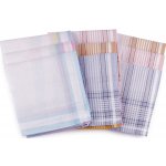 Dámský kapesník, mix náhodných variant světlý, 6 ks – Hledejceny.cz