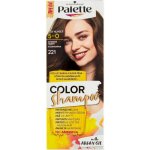 Pallete Color Shampoo středně hnědý 221 – Sleviste.cz