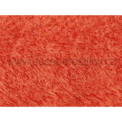 susenerostliny.cz vánoční organza B187 červená 36cm x 10y – Hledejceny.cz