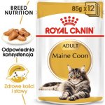 Royal Canin Maine Coon Loaf s paštikou pro mainské mývalí kočky 24 x 85 g – Hledejceny.cz