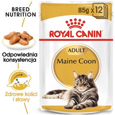 Royal Canin Maine Coon Loaf s paštikou pro mainské mývalí kočky 24 x 85 g – Zboží Mobilmania