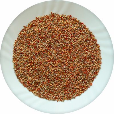 Avicentra Classic Drobný exot 5 kg – Hledejceny.cz