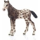 Schleich 13760 Knabstrupský kůn hříbě