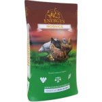 Energys Krmivo pro kuřata Midi 10 kg – Zboží Mobilmania