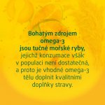 Walmark Omega 3 rybí olej 1000 mg 90 tablet – Hledejceny.cz