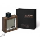 Dsquared2 He Wood Rocky Mountain Wood toaletní voda pánská 100 ml