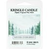 Vonný vosk Kringle Candle Winter Evergreen vosk do aromalampy 64 g