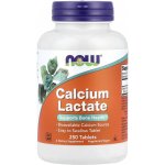 Now Calcium Lactate Vápník laktát vápenatý 250 tablet – Hledejceny.cz