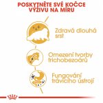 Royal Canin Persian Adult 4 kg – Hledejceny.cz