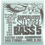 ERNIE BALL 2850 – Zbozi.Blesk.cz